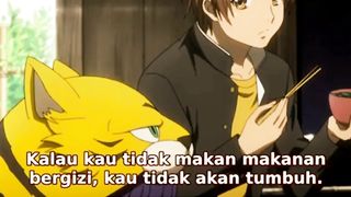 Hanya hiasan