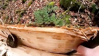 WINTER BUSHCRAFT BUILD