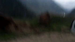 Nature 162