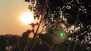 Subah ki kiran