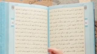 Quran:surah Saba verse 6 | Translation in English #trendingshorts