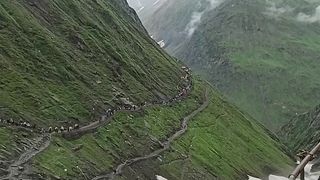 Har har mahadev 3