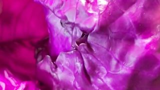 Lettuce Salad Recipe