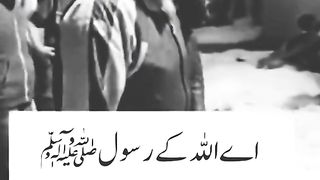 Muslims should think about it