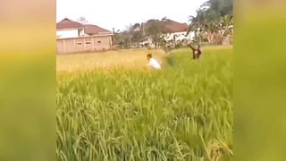 kumpulan video absurd yang saya temukan di hari Minggu