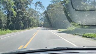 Ilha das Couves 2