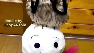 owl making a phone call