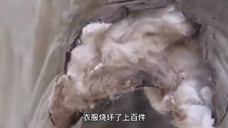 两分钟看完走近科学系列，今天你走近科学了吗？（3）