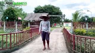 I.T. Expert, Walang Alam sa Cacao Farming, Pero 3 Years palang Super Productive na