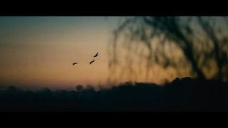 The Blind 2023 - Theatrical Trailer