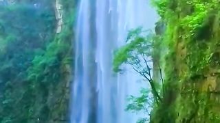 Amazing natural video