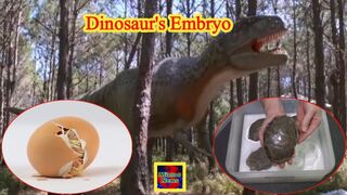Inside Portugal's dinosaur embryo discovery