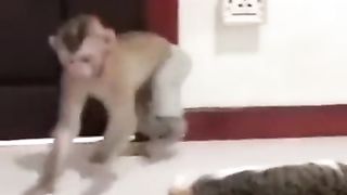 Jahilnya su ????????
