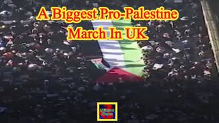 Close to a million march for Gaza on Armistice Day
