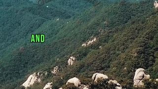 surah Saba verse10 | Translation in English  #trendingshorts