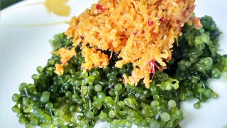 Urap Latoh