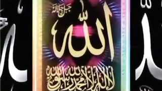 Information about Prophets of 