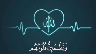 Quran Recitation Whatsapp Status Video Download , Full Screen_10