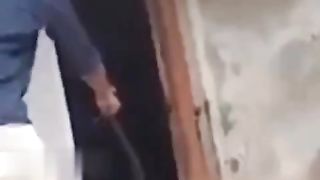 King Cobra scares the person