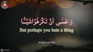 Qur'an recitation whatsapp status--Best  whatsapp status--Qur'an status