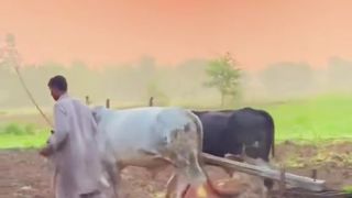 سلام مِترو ❤️ | Village