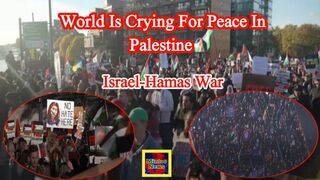 Pro-Gaza rallies continue worldwide