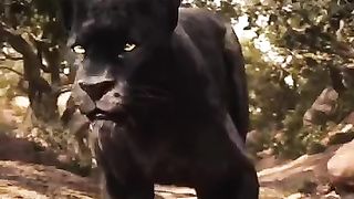Jungle movie