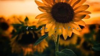 Rab Farmata hai -  status