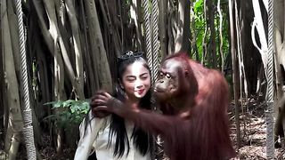 the orangutan was very lucky