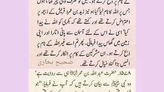 اسلامی معلومات 684