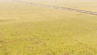 paper plane 2