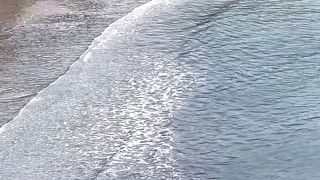 Praia de Castelhanos