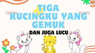 Kucingku Yang Lucu
