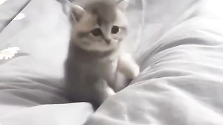 Cute ???????????????? 2