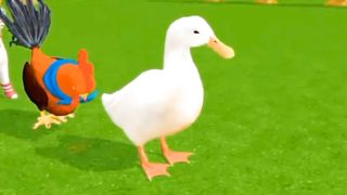 Paint animals animation video|fun with animals animation