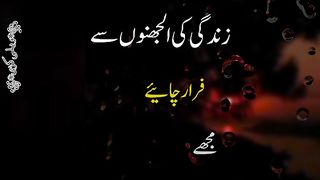 Zindagi 10