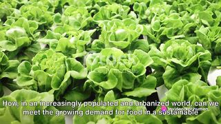 Vertical Farming Revolution The Hydroponics Way