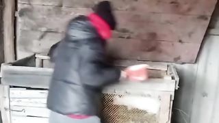 ***да