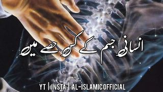 Saitan Insaan ke Kis Jism ke Hisse Me Raat Gujarta Hai- - Urdu Status  Whatsapp Status