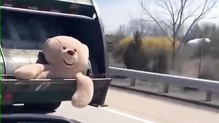 A teddy bear peeking out of a garbage truck