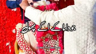 Shadi Me Sehra Bandhna  Me Kaisa Hai Urdu Status  Whatsapp Status