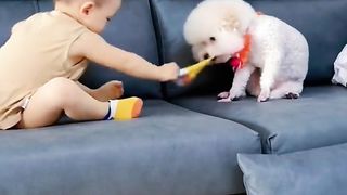 Very funny moments ???????? 3