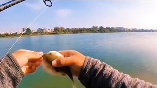 The Fish Shoting...????????