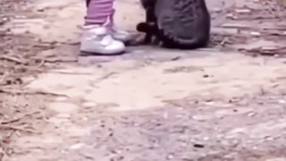 Quem disse que os cães eram o melhor amigo do homem?