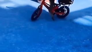 the two monkeys riding bicycles.