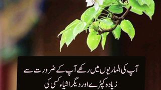 Uthein or sadqa krein #contribute #informative @Kashafbutt