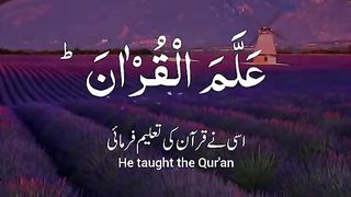 Beautiful Qurqn Recitation