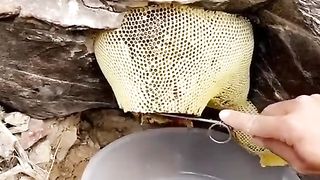 Video 330