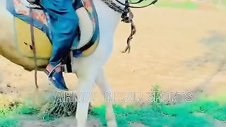 #foryou #foryoupage #fyp #Ahmad#horsepower#trending #23