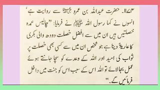 اسلامی معلومات 687